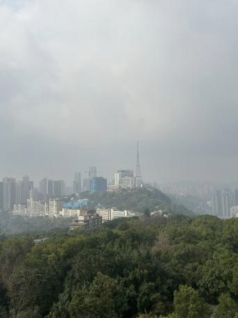 Landscape view in Eiling Park